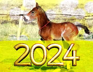 FX №182739 2022 gold digits    Funny horse Foal on Bokeh lights background