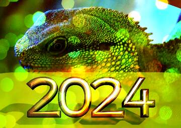 FX №182737 2022 gold digits The texture. Water  agama.  Pattern  at  head.    Water agama. bokeh background