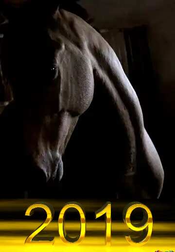 FX №182646 3d render 2019 gold digits Horse