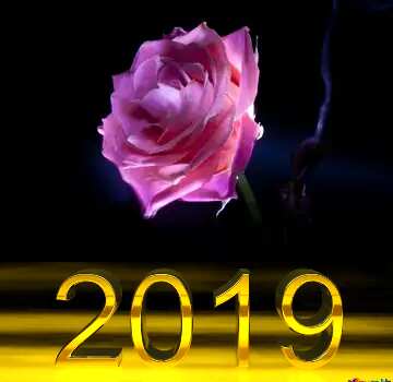 FX №182652 3d render 2019 gold digits Rosa
