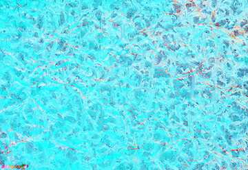 FX №182509 frozen crumpled paper blue texture