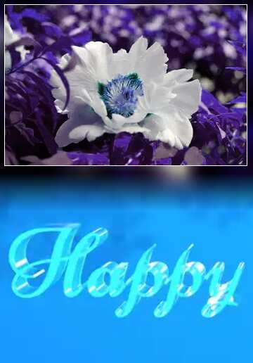 FX №182990 Happy glass blue background Flower Motivation Dark Template