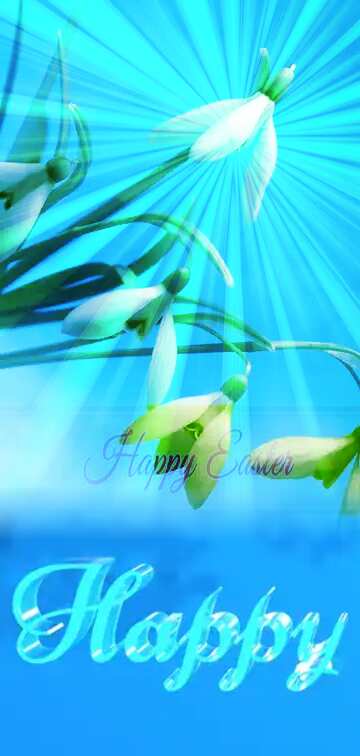 FX №182986 Happy glass blue background Flowers Sunlight Rays