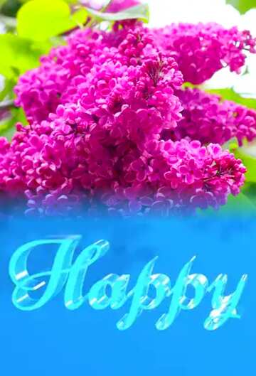 FX №182989 Happy glass blue background Lilac Flowering Bush