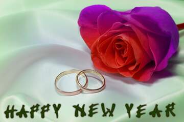 FX №182849 Happy new year Engagement rings.