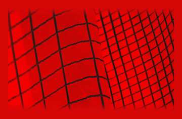 FX №182836 Net grid red