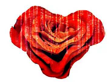 FX №182345 Rose flower shape heart
