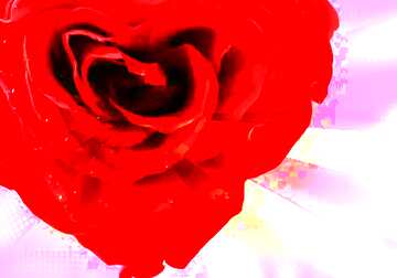 FX №182391 Rose heart Art Background