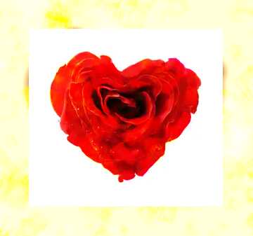 FX №182399 Rose heart gold frame