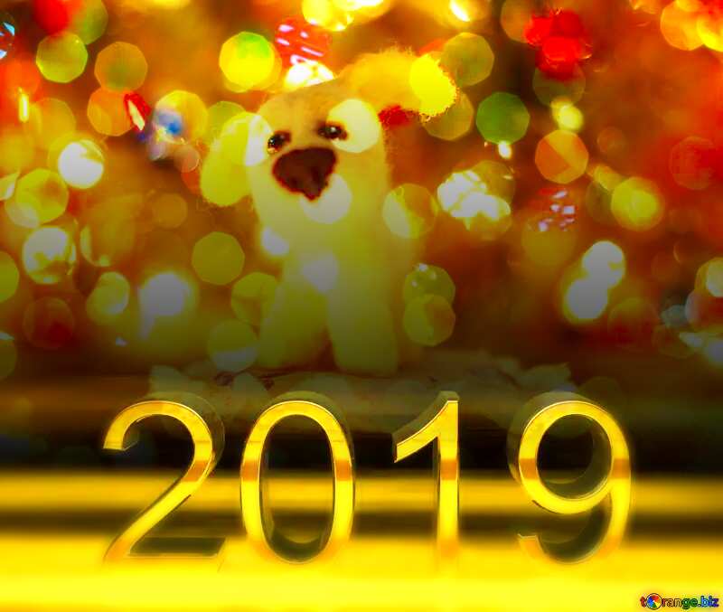 2019 3d render dark background Dog Christmas Greetings New Years №49622