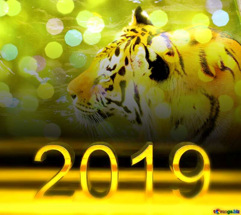 2019 3d render dark background Tiger №45019