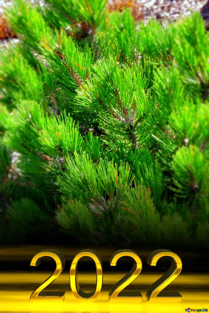 2022 gold digits   decorative pine leaf happy new year 2022 №23455