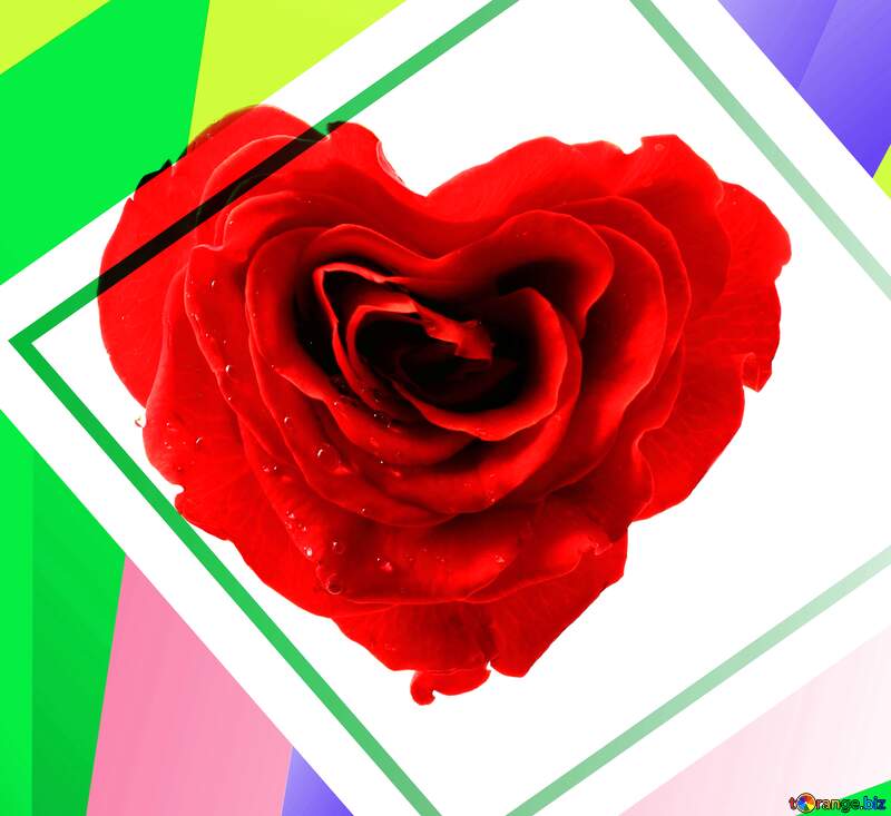 Rose heart frame  Art №17029
