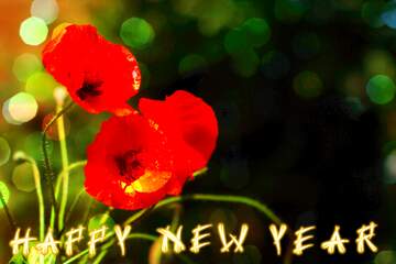FX №183952 Happy new year card with Poppies  red flowers  bokeh  background