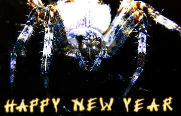 FX №183806 happy new year  Spider card