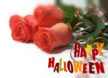 FX №183903 Rose flowers   happy halloween Greeting Background