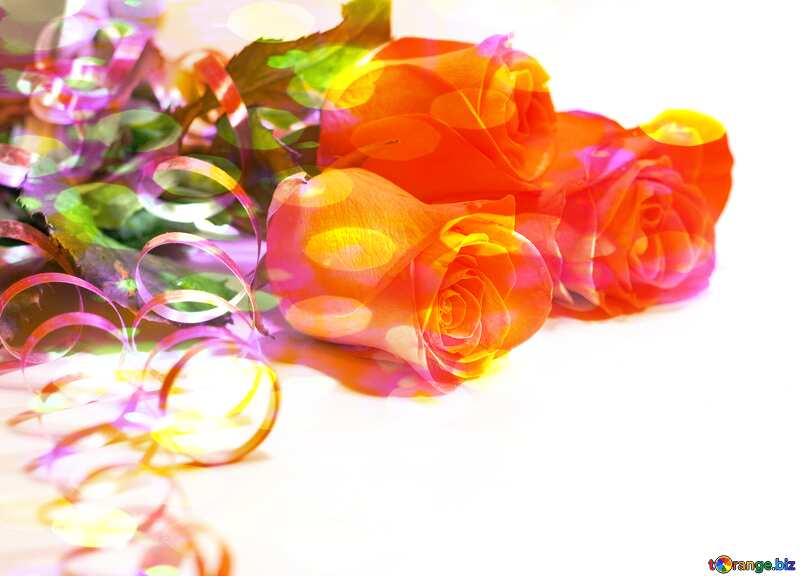 Rose flowers   bokeh lights colored Greeting Background №7266