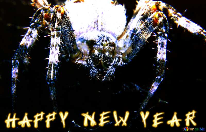 happy new year  Spider card №50657