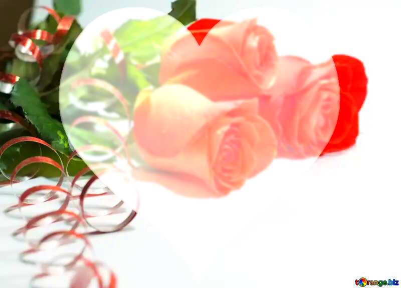 Rose flowers  Background with heart №7266