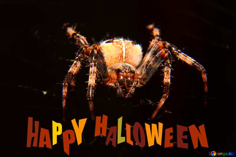 happy halloween heart Spider template №50657