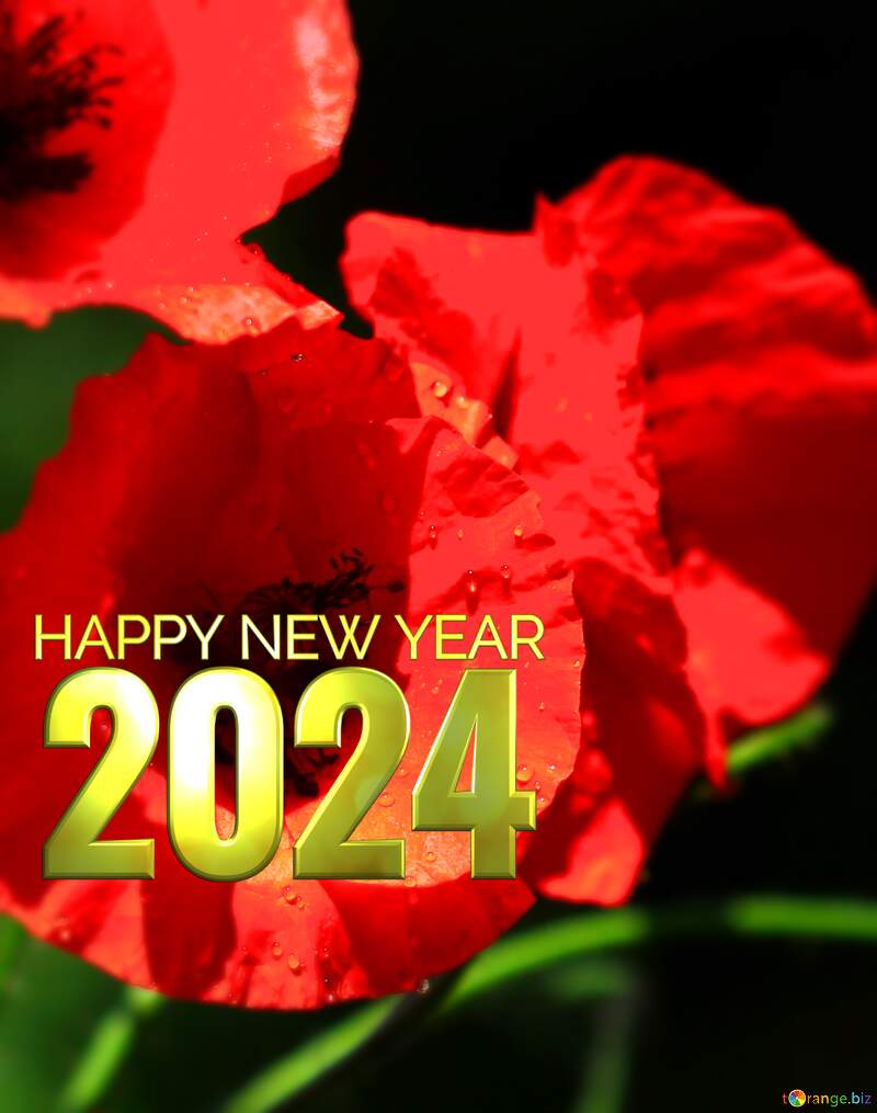 Happy new year 2024 card with Poppies  red flowers №37107