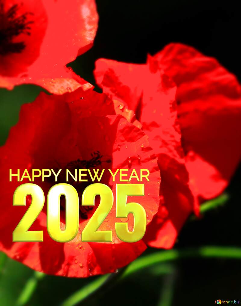 Happy new year 2024 card with Poppies  red flowers №37107