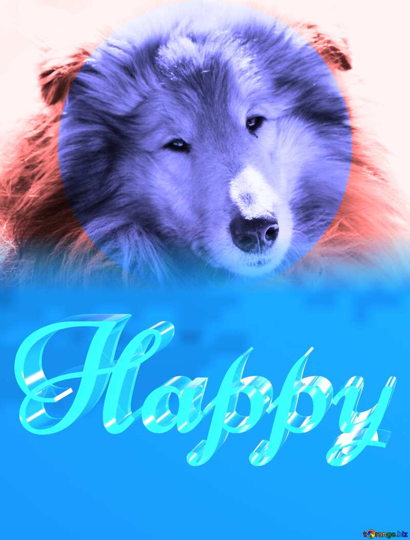 Happy glass blue background Dog №718