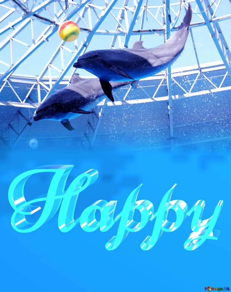 Happy glass blue background Dolphins №25572