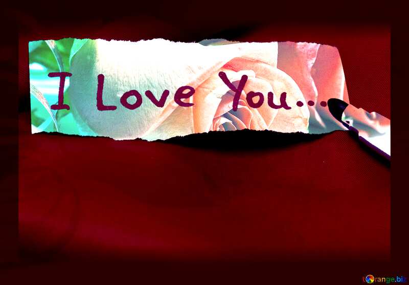 I love you inscription red  Background Rose flowers №7266