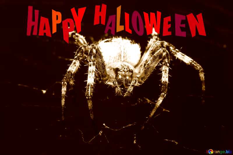 happy halloween Spider №50657