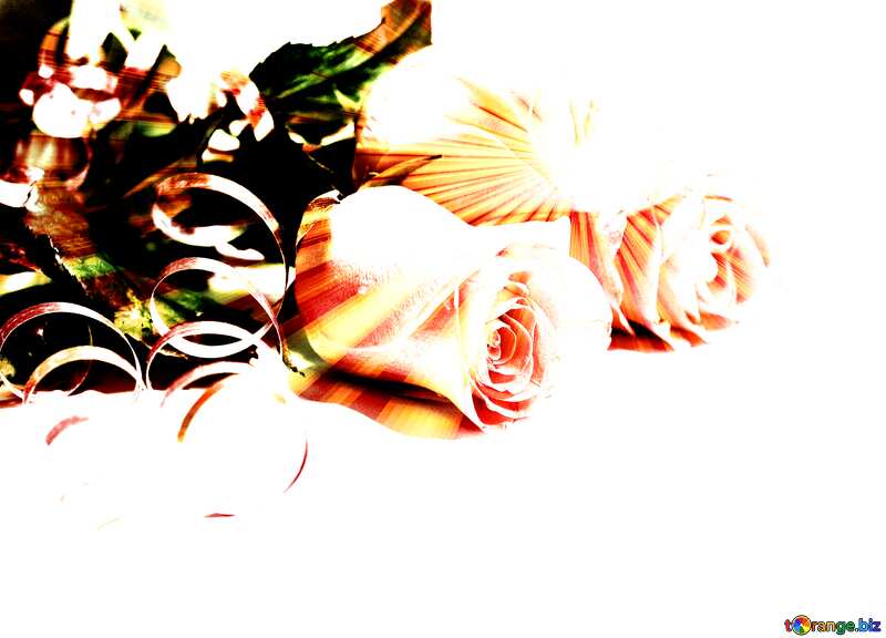 Rose flowers  rays sunlight Greeting Background №7266