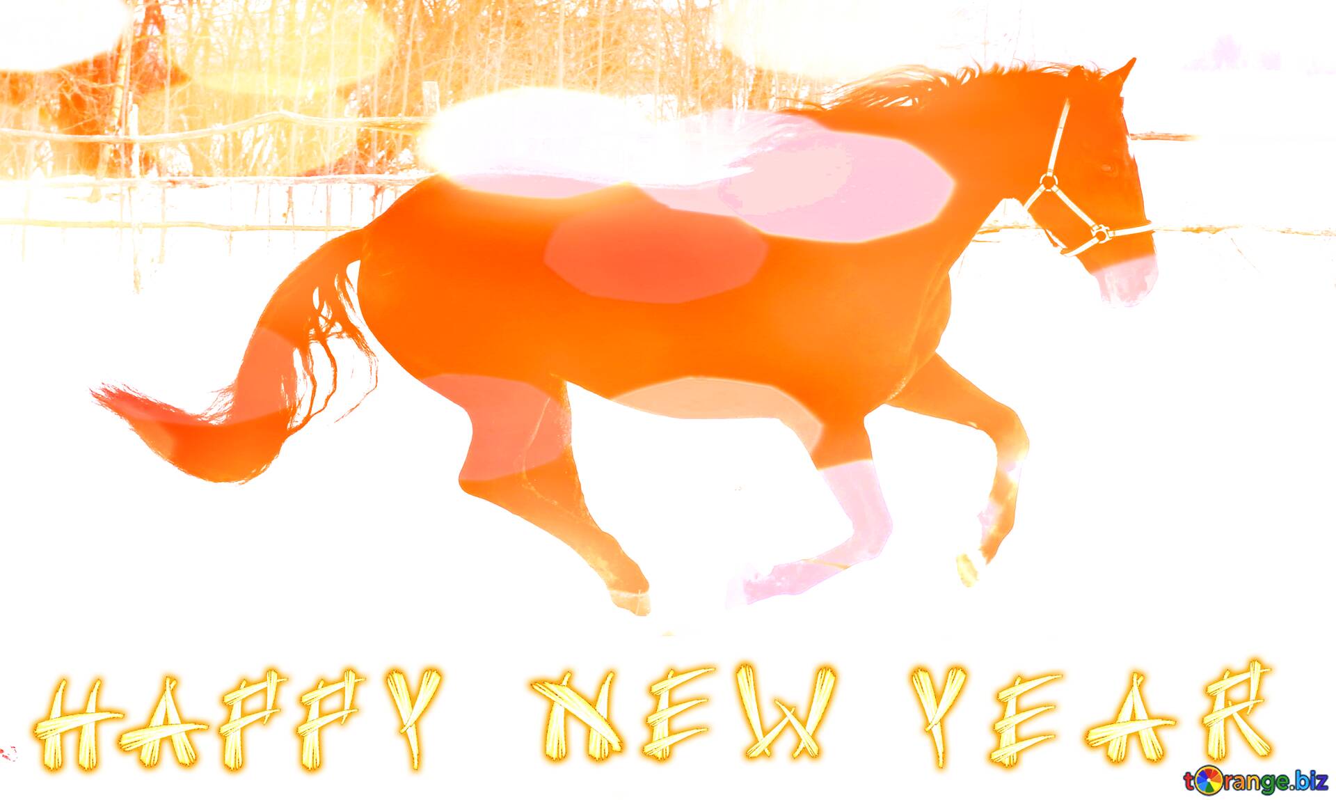 Download free picture Horses Happy New Year. on CCBY License Free