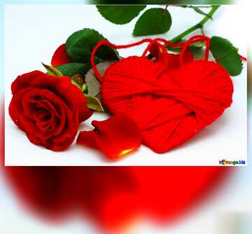 FX №184763 Heart flower rose motivation card