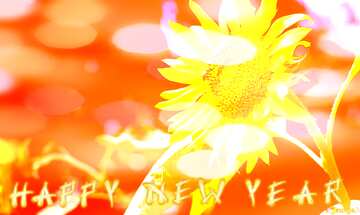 FX №184612 Happy New Year Background with sunflower