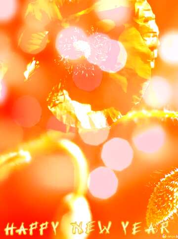 FX №184605 Happy New Year Beautiful background with flower poppy