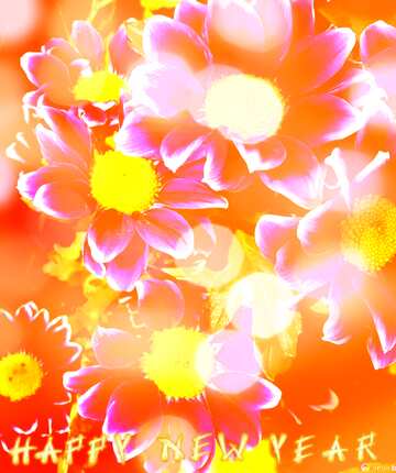 FX №184632 Happy Year New Background bright flowers