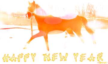 FX №184221 Horses Happy New Year. Snow