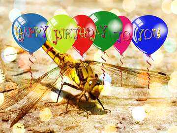FX №184017 Dragonfly happy birthday card