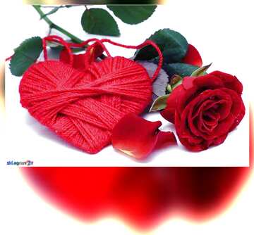 FX №184768 Heart flower rose  bright blank card