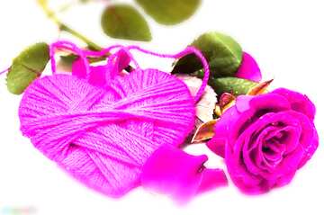 FX №184759 Heart flower rose  violet  blurring