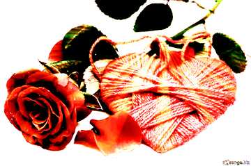 FX №184755 Heart flower rose  rays of sunlight