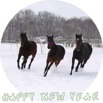 FX №184171 Three horses in the snow Circle happy  New Year Card