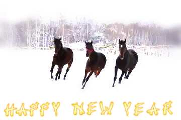 FX №184176 Three horses in the snow Happy New Year white background