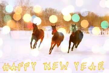 FX №184170 Three horses in the snow  Happy Year Card Background Christmas Bokeh