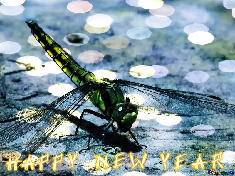 Dragonfly text happy new year card №24962