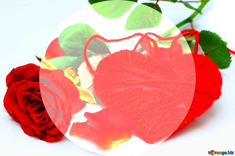 Heart flower rose  presentation template infographic №16856