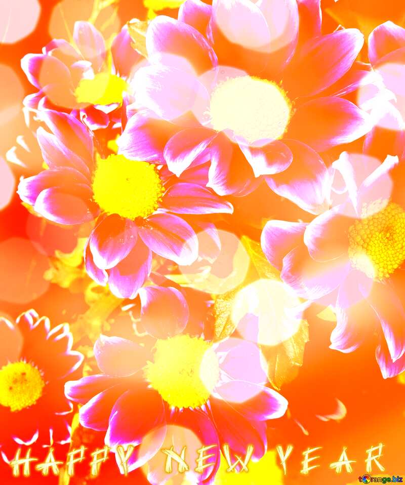 Happy Year New Background bright flowers №26596