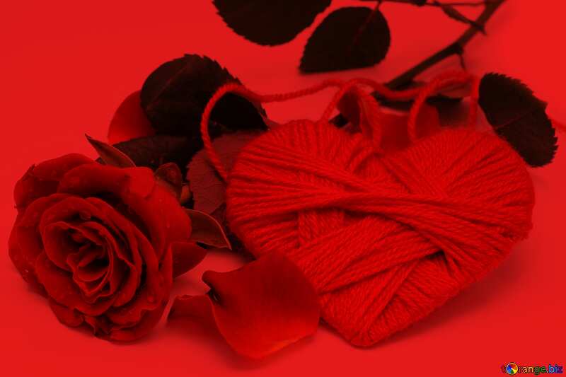 Heart flower rose  red background №16856