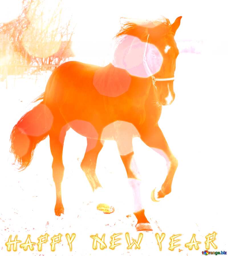 Horses Happy New Year. №18197