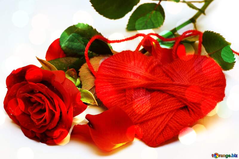 Heart flower rose  bokeh  background №16856